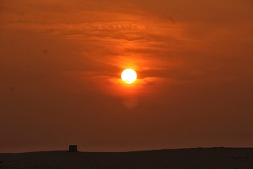1020336