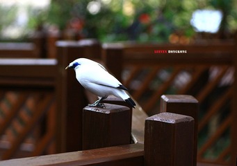 IMG_8567副本.jpg