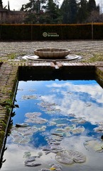 DSC_0125-13