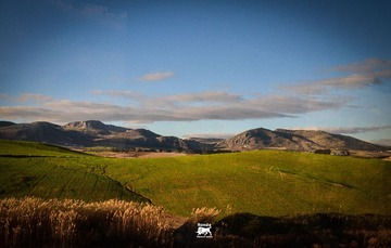 DSC_0230-14