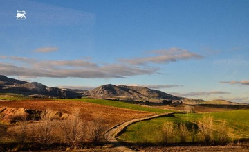 DSC_0229-13