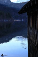 IMG_4597-7