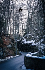 IMG_4537-1