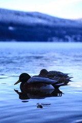 IMG_5299-12