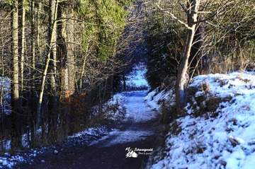 IMG_5344-16