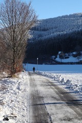 IMG_5355-18