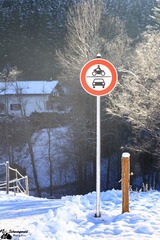 IMG_5469-22