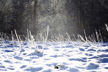 IMG_5470-23