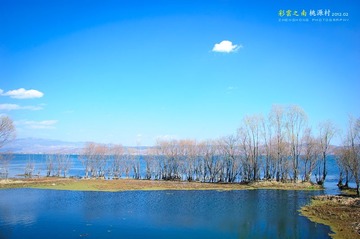 DSC_9272.jpg
