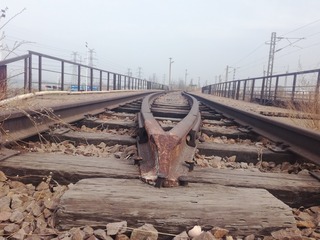 4247154