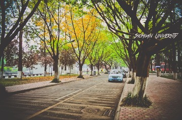 20130428-20130428-DSC_0017.jpg