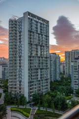 L1002305