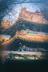 DSC_1957-编辑