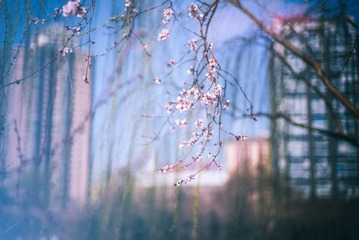 L1000627-编辑