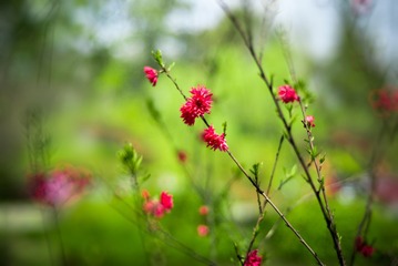 L1000909-编辑