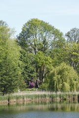 L1002246