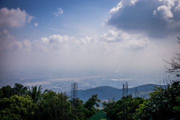 L1002955
