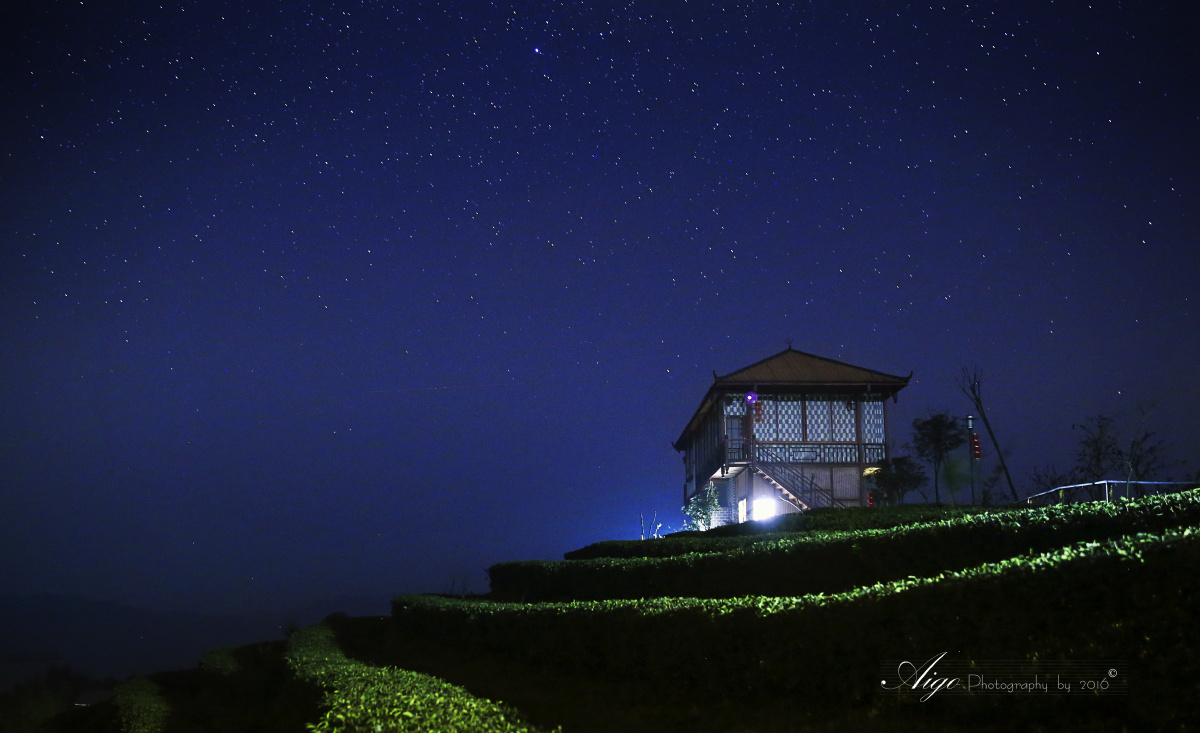 星空下的茶园格外安静,这个时候,我真的好想静静!