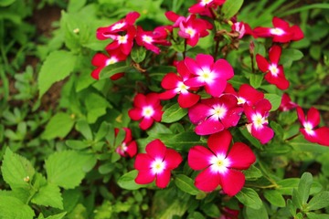 IMG_0118.JPG
