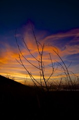 DSC_2102_2