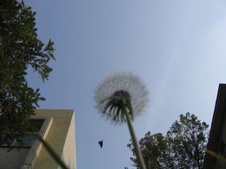 IMG_0065.jpg
