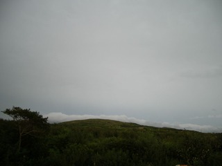 IMGP0004.JPG