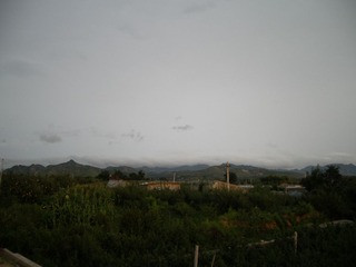 IMGP0005.JPG
