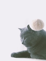001