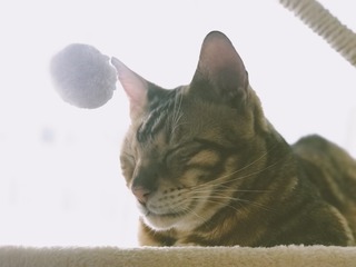001