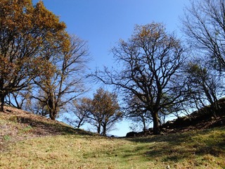 R0013807.jpg