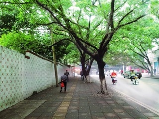 IMG_0873.jpg
