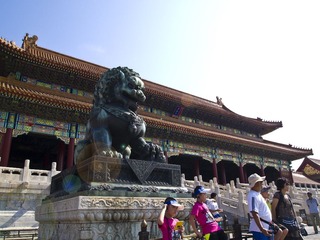 P7153164.jpg