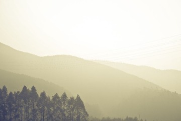 DSC_0473.jpg