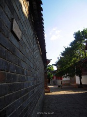 8-8丽江古城-.jpg