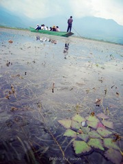 8-9拉市海-水草.jpg