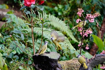 20180104_DSC7139 00014