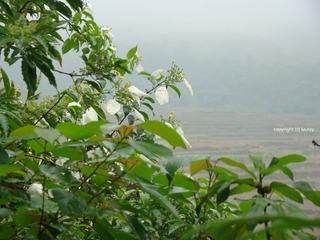 DSC01624.JPG