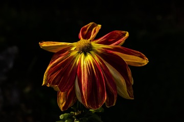 1589050