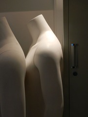 DSCN0504.JPG