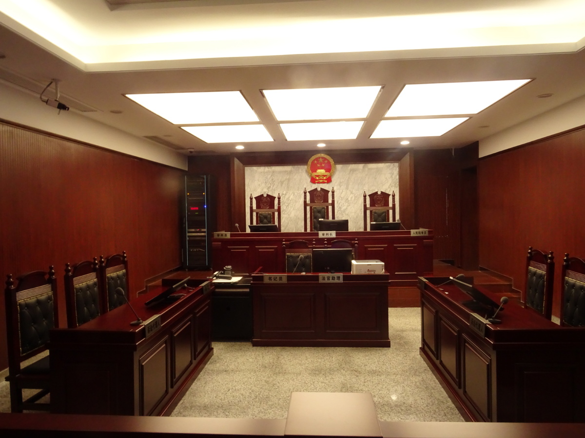 庄严的法庭,虚伪的判决,遗憾的结果