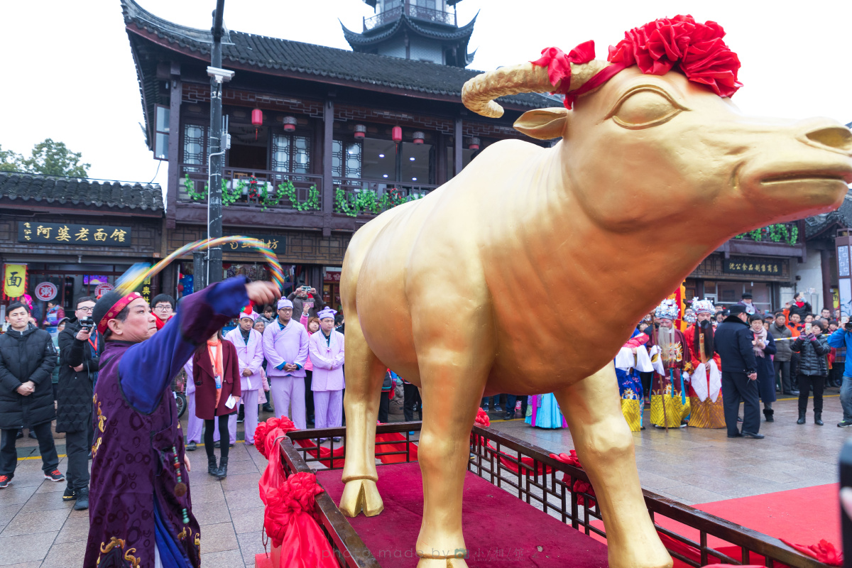 给生活一点仪式感 | 周庄,初一打春牛.