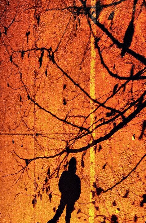 夜·树·人<br />
闲来无聊，翻了张前年的照片。当时那个冷啊，为了等这个画面我在楼上等了一个多小时吧，差点没冻成兵马俑。