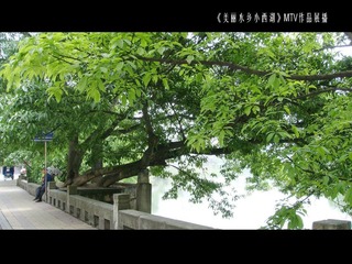 16比9照美丽水乡小西湖 16：9 (3)