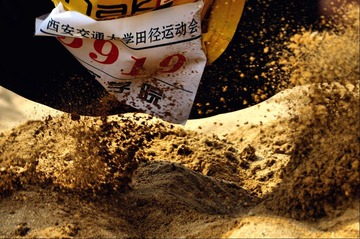 第5919号