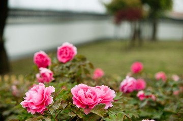 DSC_1870.jpg