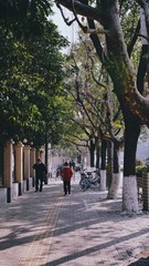 EFC46234-6A4E-4130-969F-5EADF416735A/L0/001