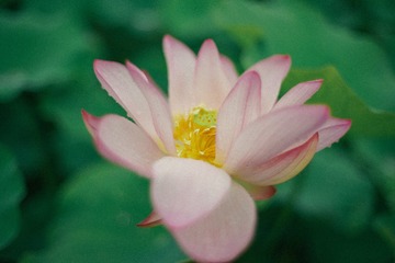 A90AD41A-4E5B-4AE0-AEC9-2FD9909151FE/L0/001