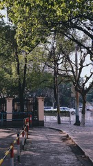 EAD49EE0-9C94-423A-A406-7B80B200E8D8/L0/001