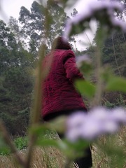 DSCF2792.jpg