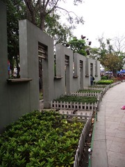 DSCF2529.jpg